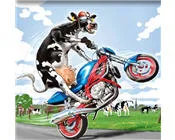 vplfhd281wby8yzwzbky8mmvn 59256