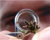 vr42ug8f9cyzbquwgi1qoqrla 57402