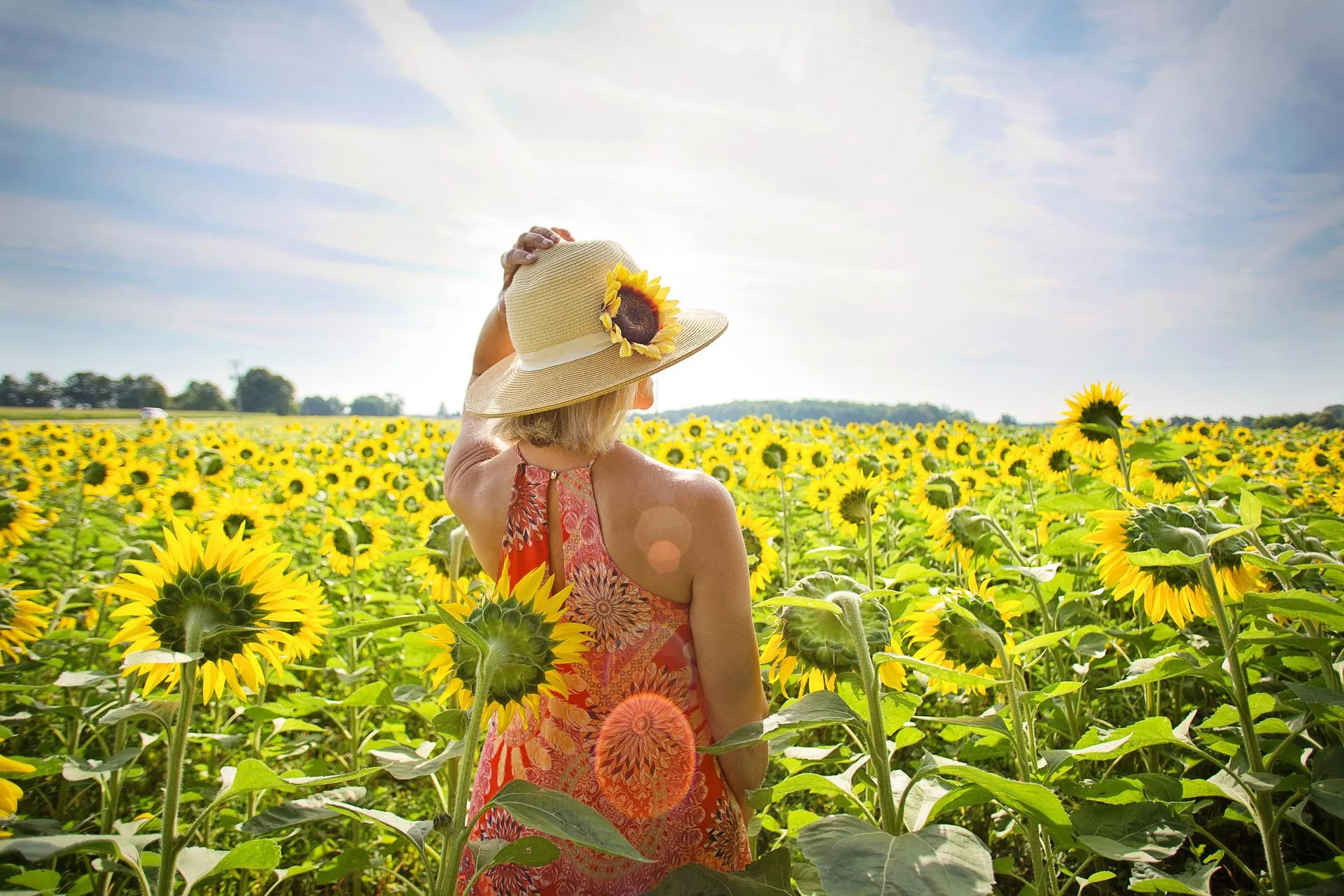 vrouw zonnebloemen jill wellington pixabay