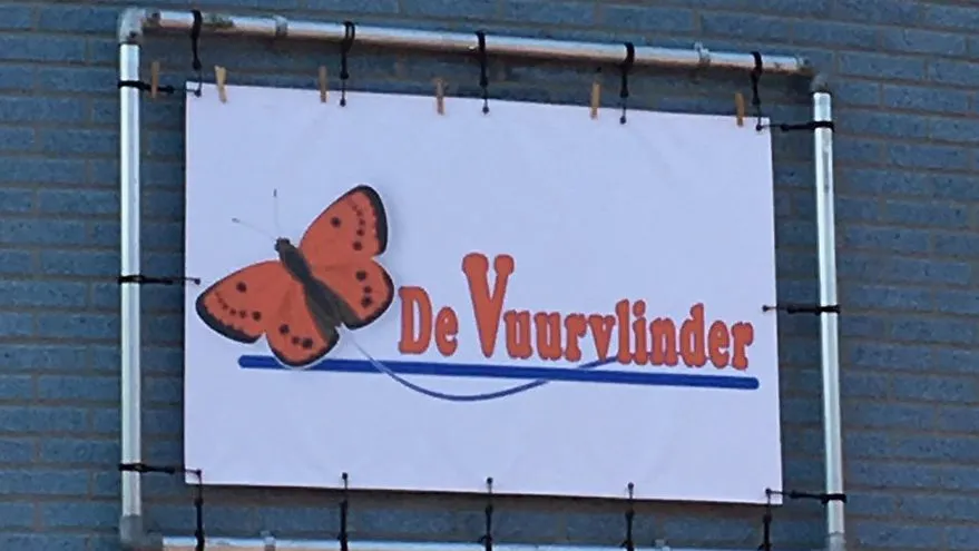 vuurvlinder e1503961489901