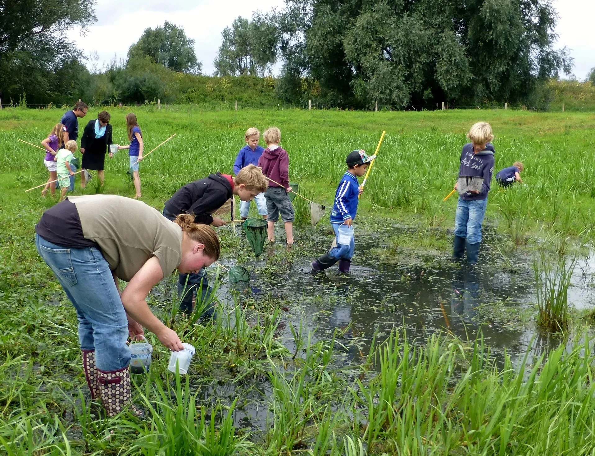 waterbeestjes vangen