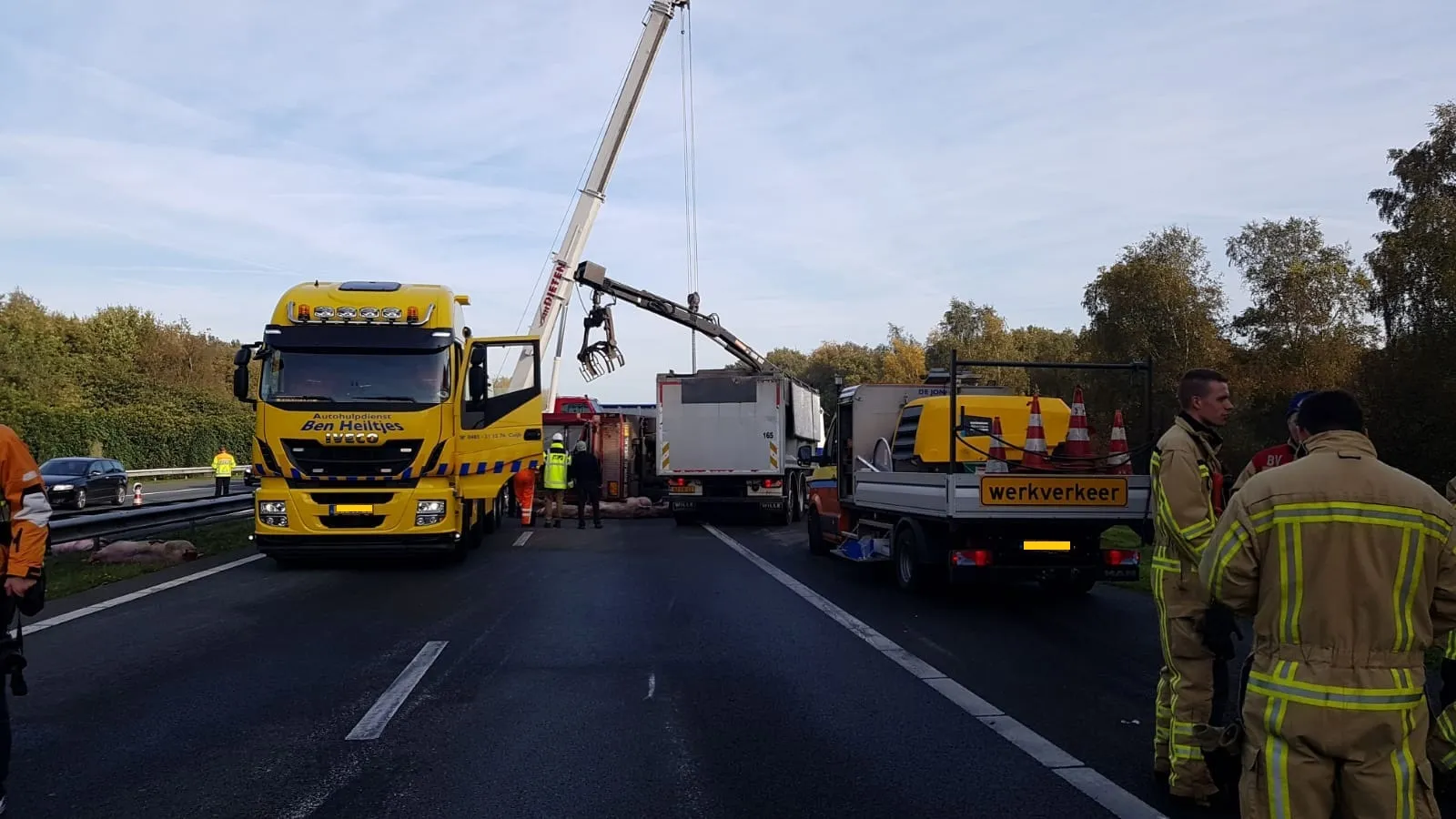 whatsapp image 2018 11 03 at 215214 1