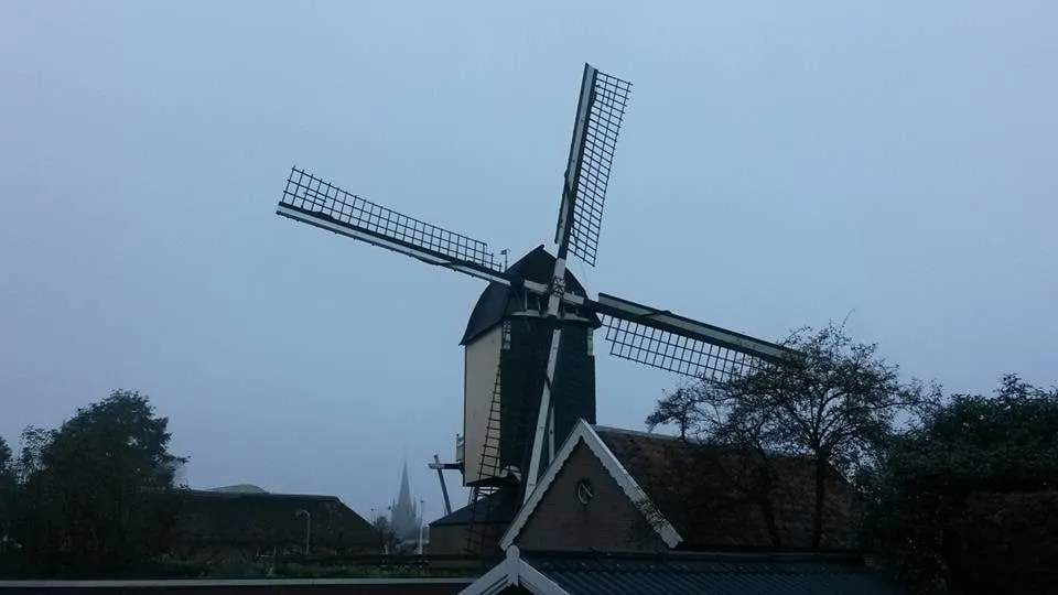 wieken in vreugdestand na afstuderen molenaar