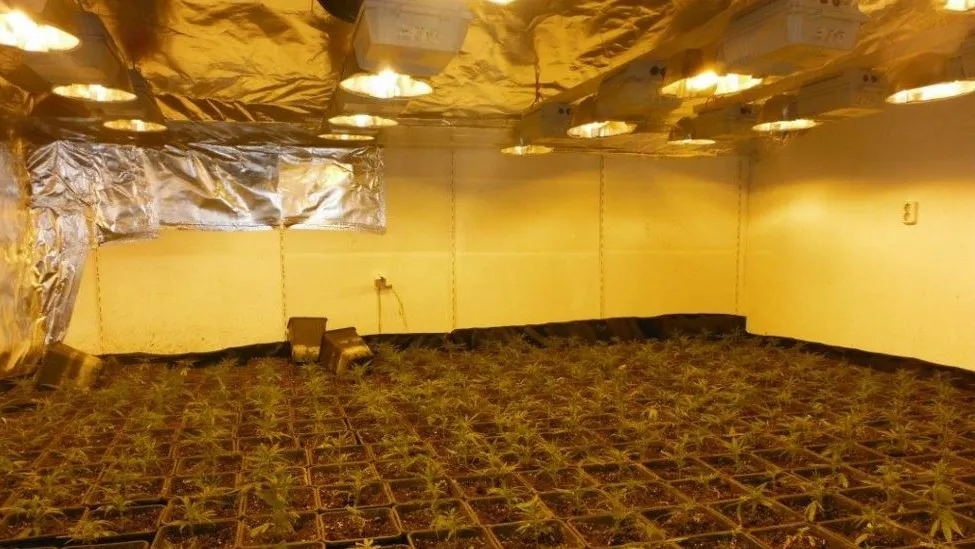 wietkwekerijweurt e1456953132369