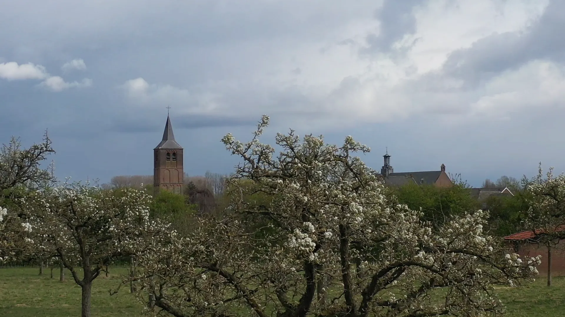 winssen bloesem