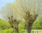 y38p1v85yrwtqzdcz6i72ikdu 69033