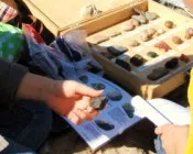 z66u7hxeodztsgbylp8pz92oz 228913