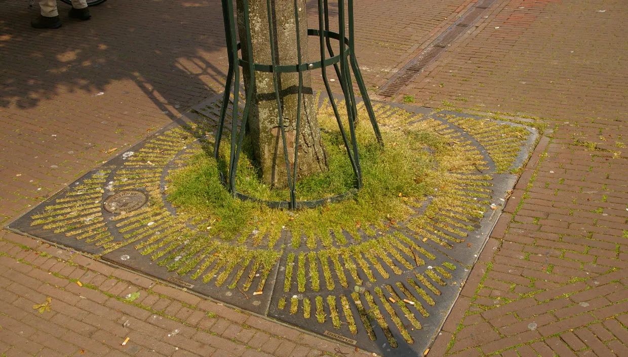 za8kadsvmylr5j6f9l76c1wvw beuningen doet