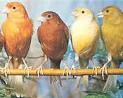 zgppawydhxb59dwybanhrtps0 32058