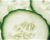 zkfogs20fop376pmltgls8mkb 73436