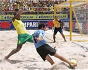 zt39eaavljt18zyaroc33lnsr 54968