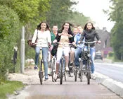 zulave71rtgb0pekpfungdq2s 61036