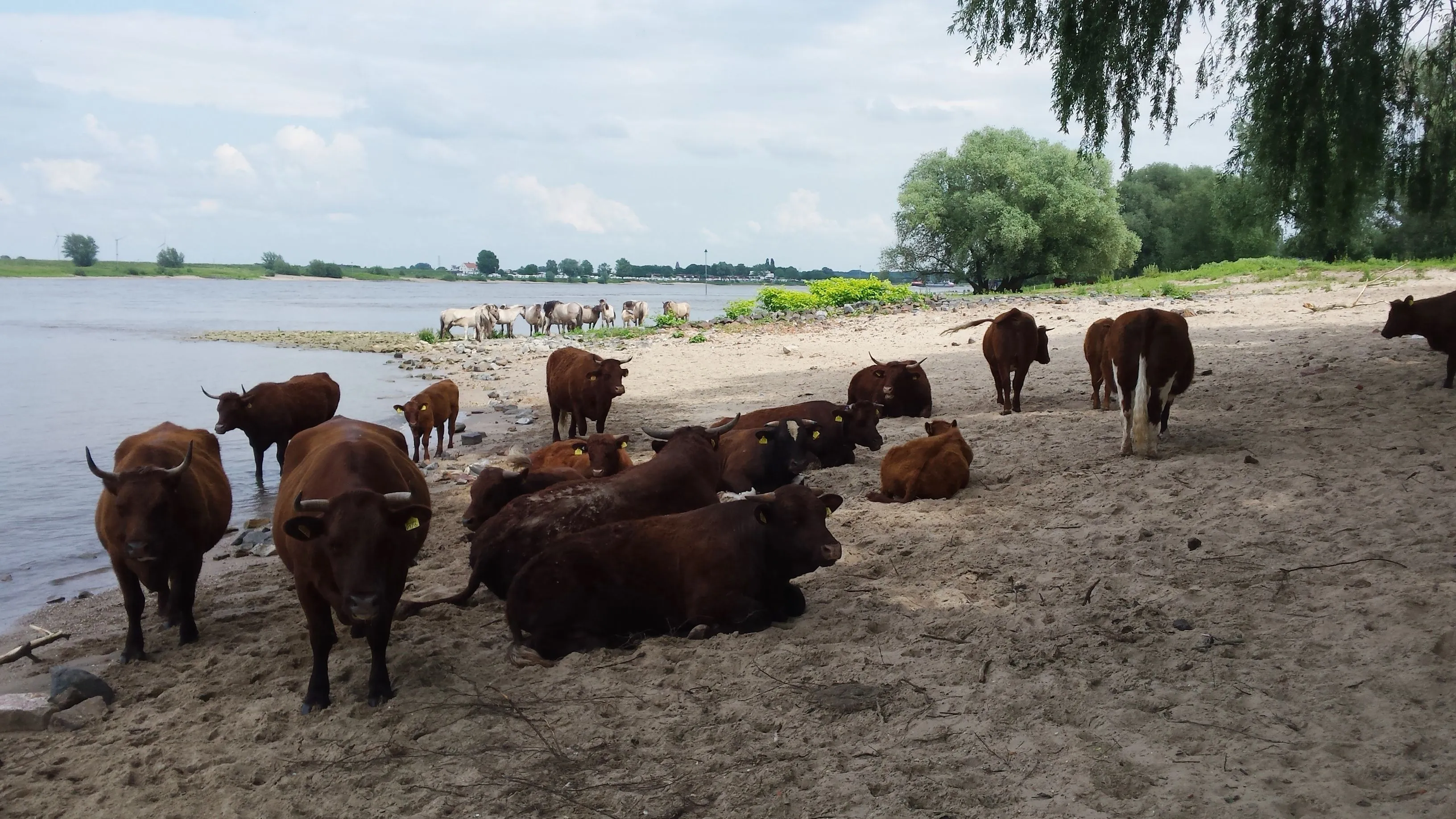 klimaatwandeling
