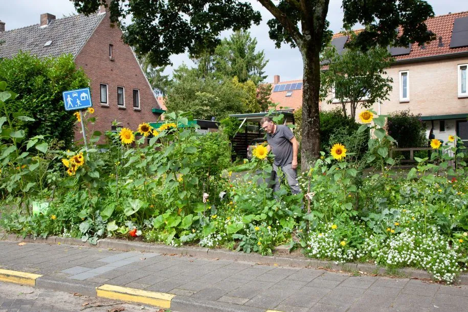 vergroenen na situatie
