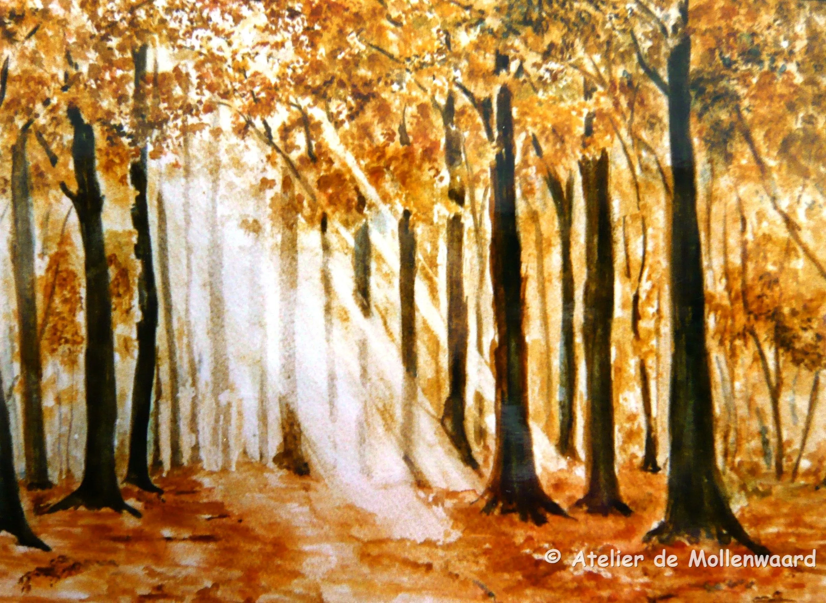herfstbos atelier de mollenwaard