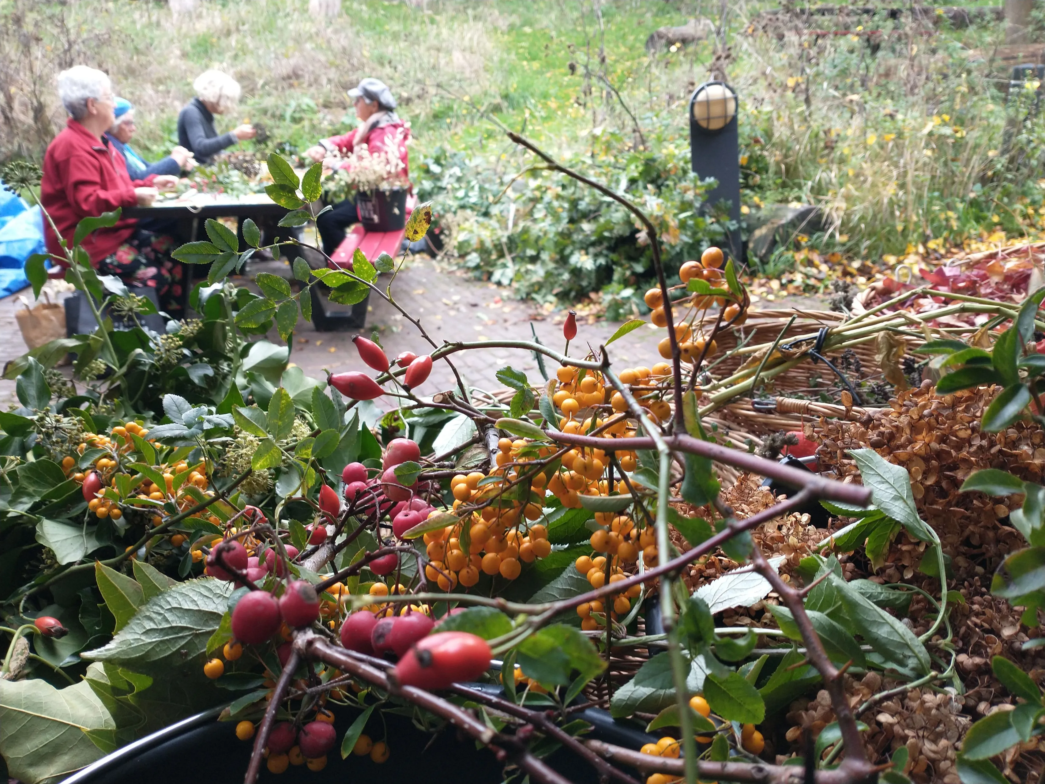 img 20221021 102344574