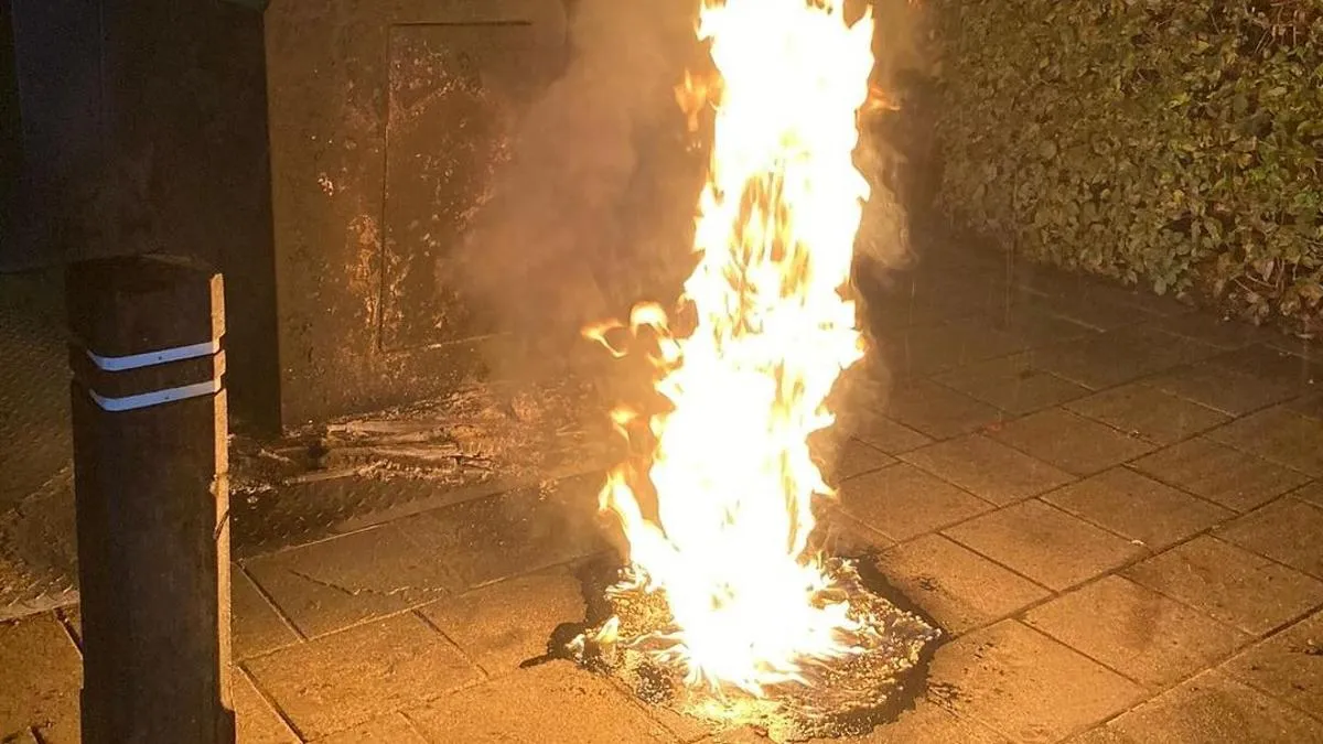 resized image 1200x800 1