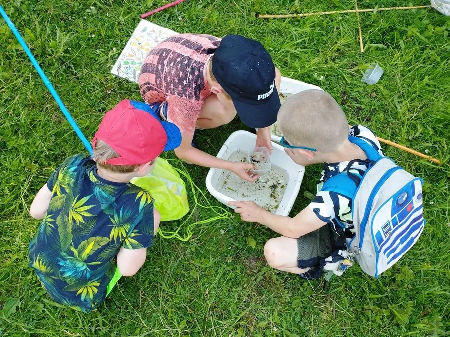 waterbeestjeskreekpark