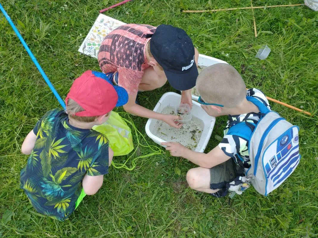 waterbeestjes 2 aangepast