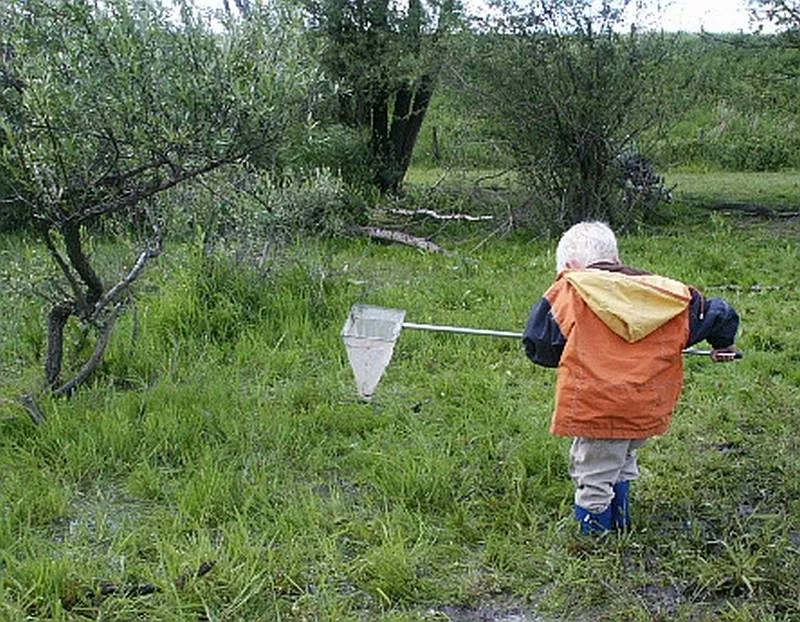 DijkmagazijnWaterbeestjes