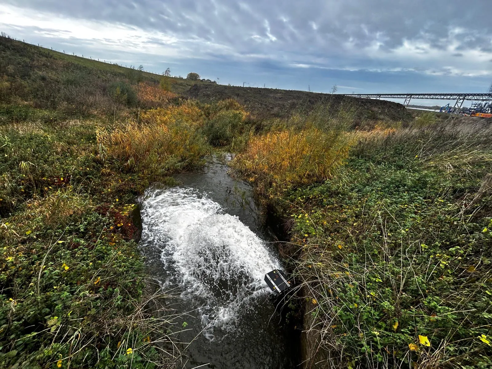 78381cae-f903-4a0d-8c53-18f6efbb1310