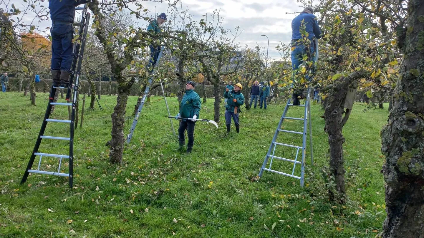 cee8b9bd-3be4-410e-ba06-a007215247a2