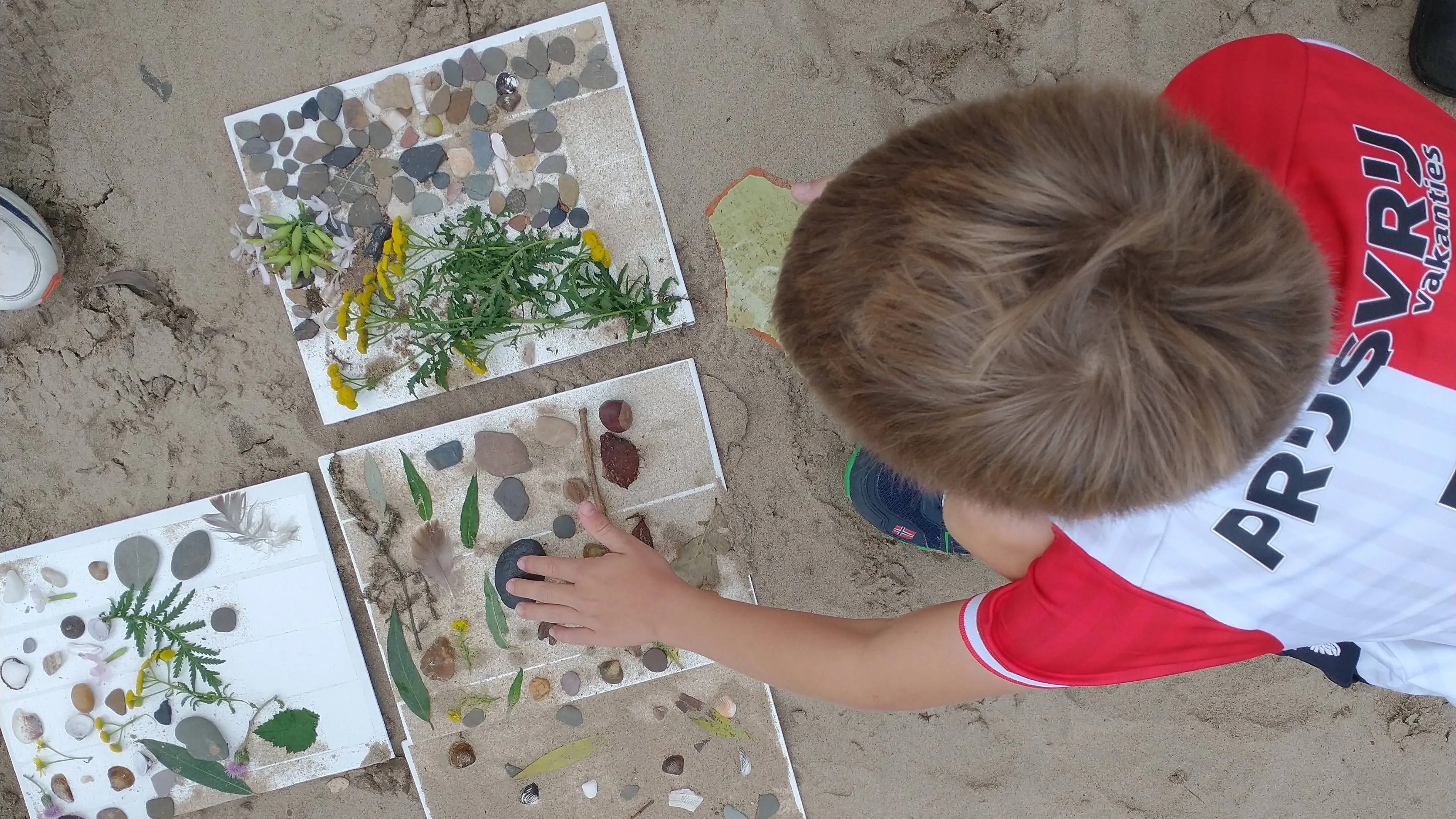 IMG_20230913_133111459