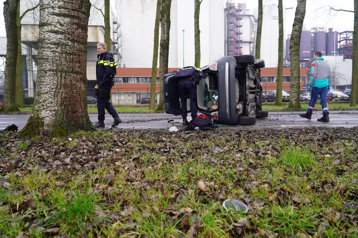 113d0180-b763-40d1-9050-92c918385406