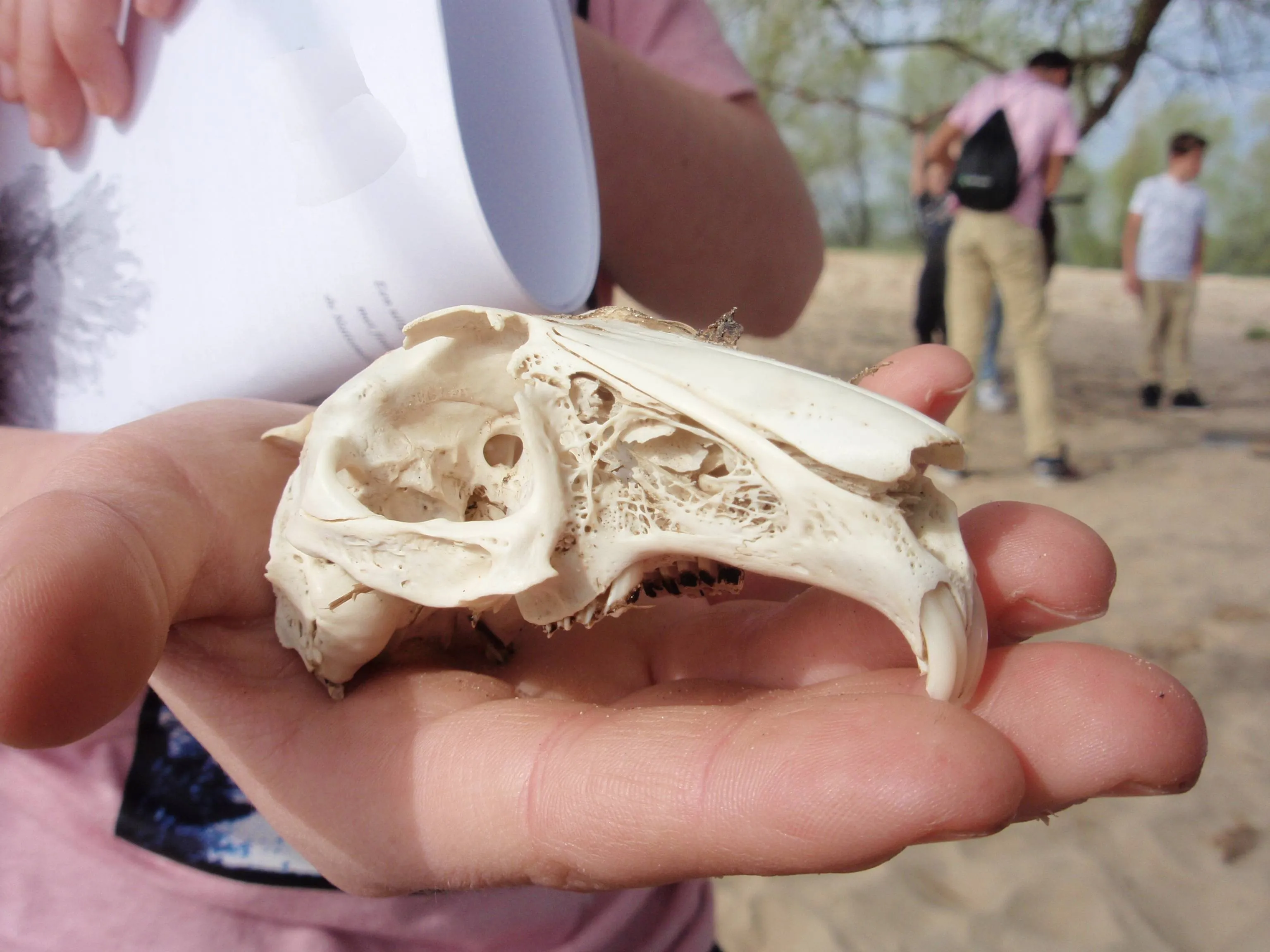 fotoDijkm2026-01-31Speurennaarsporen