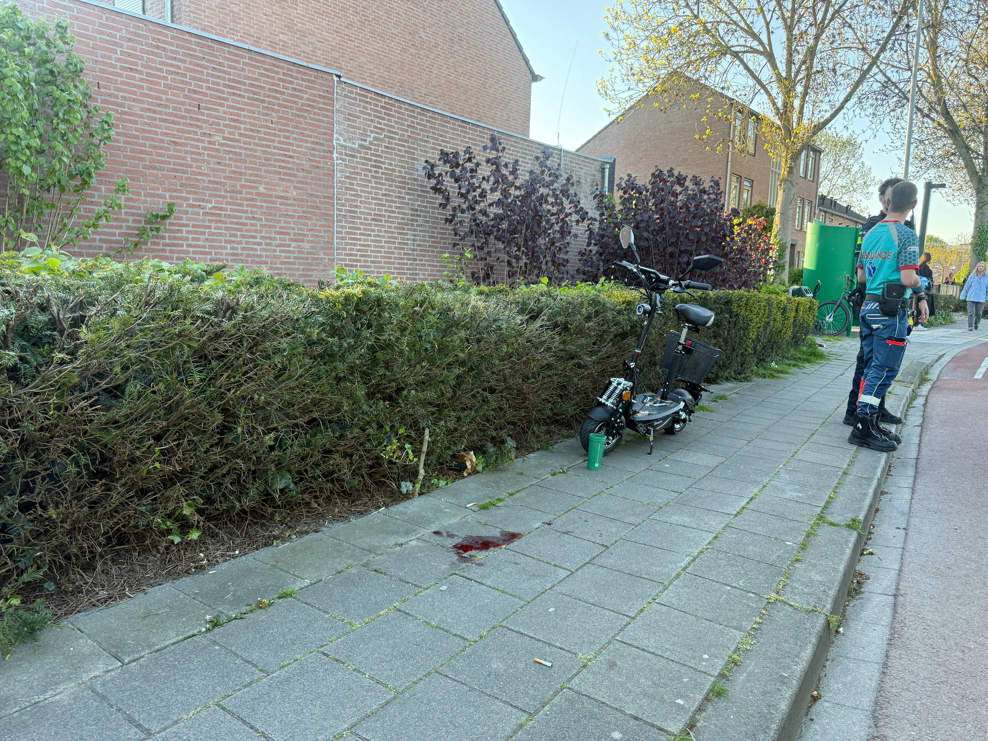 75ee1de8-3a52-45fb-bcd5-0e77253e8608 (1)