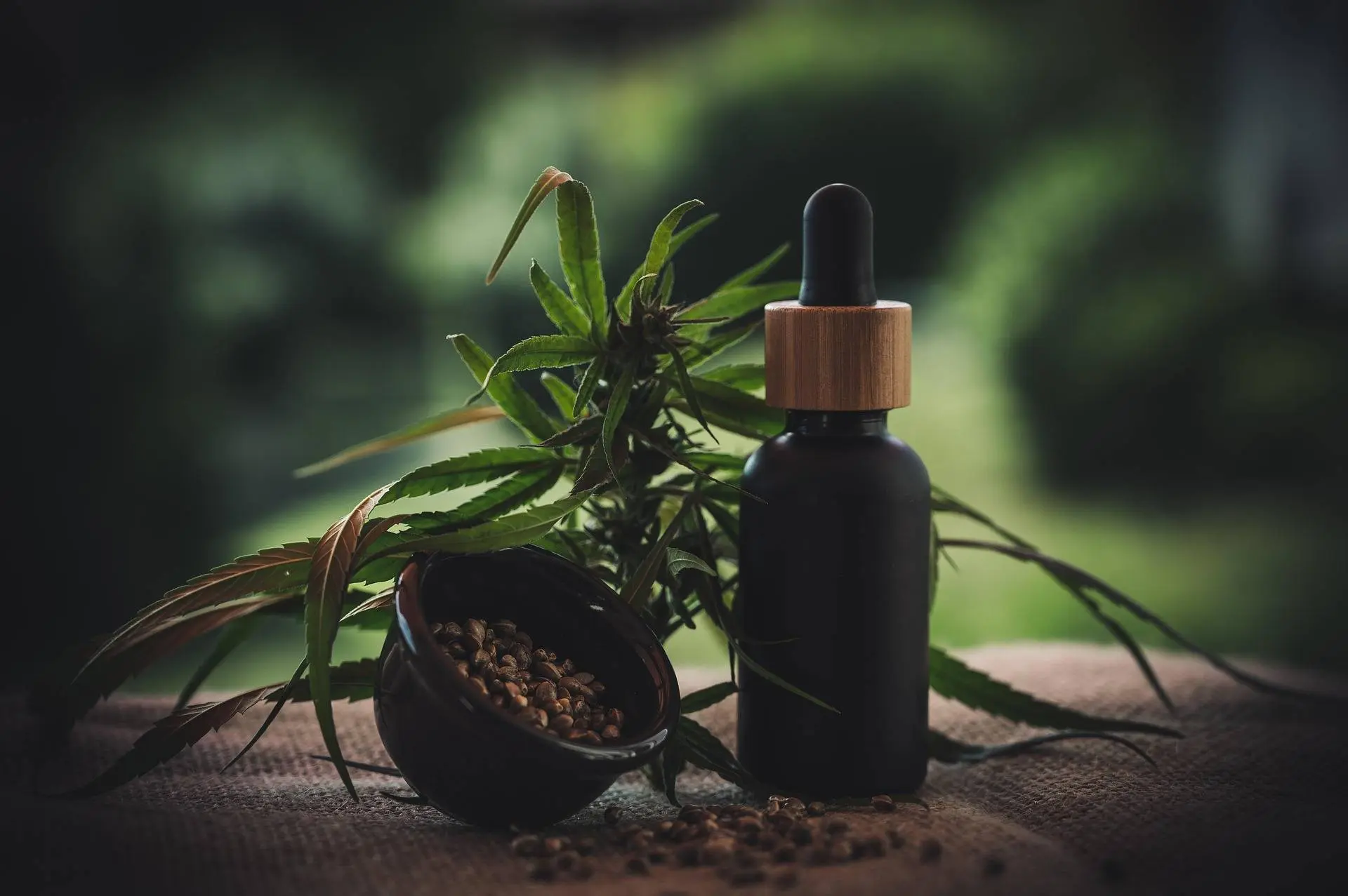 cbd-infos-com-cbd-ol-4470071_1920