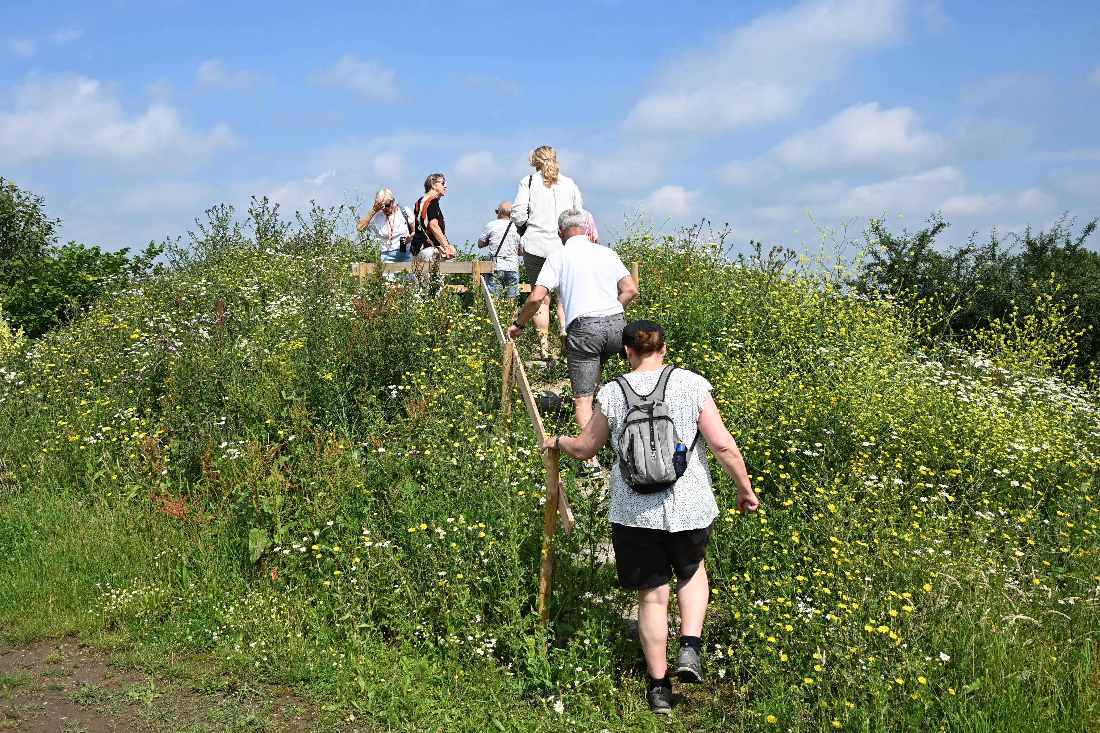 20260621 Weurtse Heuvel WilKuijpers-43