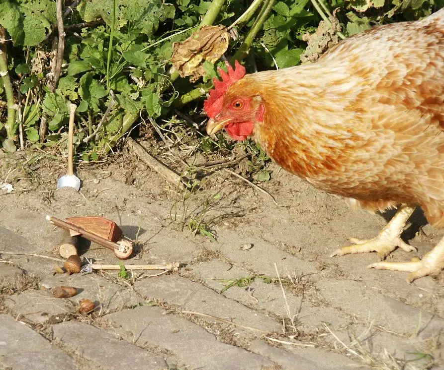 MinipuzzzelGelderseDag - kopie