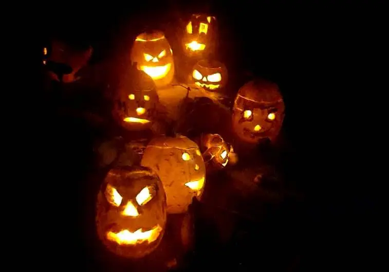 HalloweenLampionnen - kopie