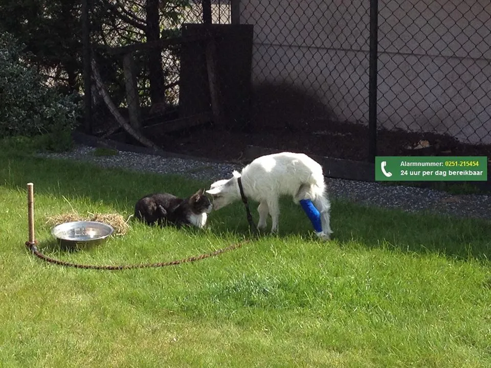 10374006 665338123544633 8631462173832839359 n