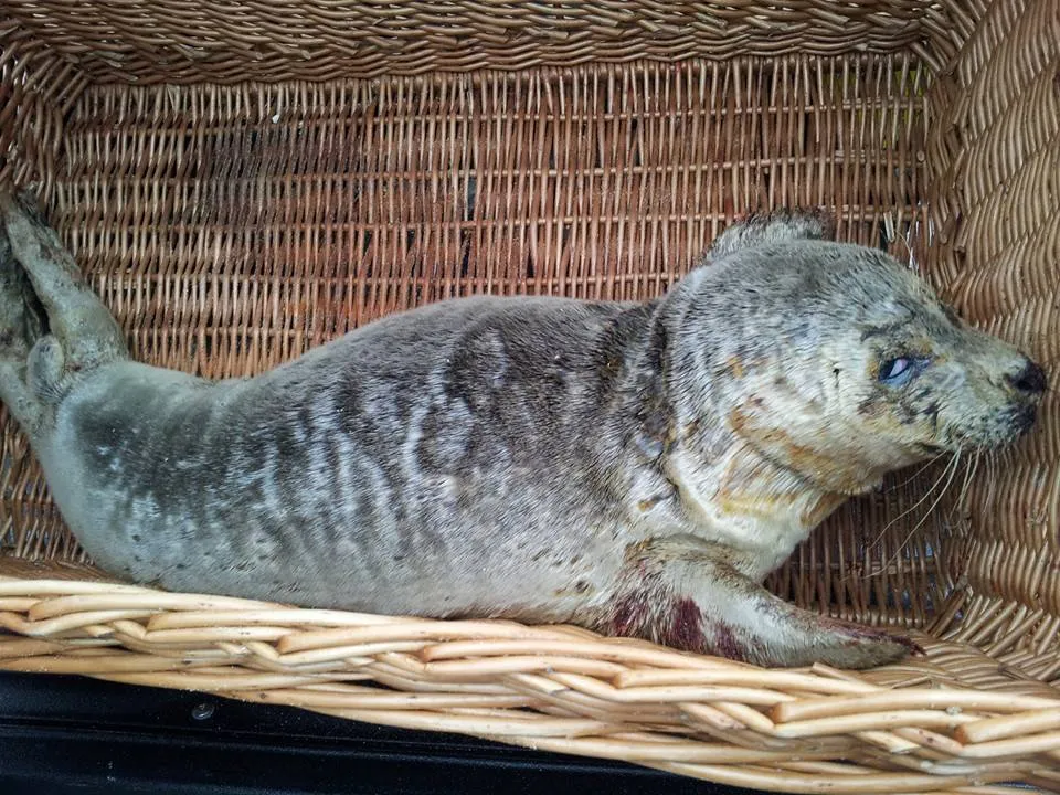 10459922 804668909611553 5458867419708904786 n