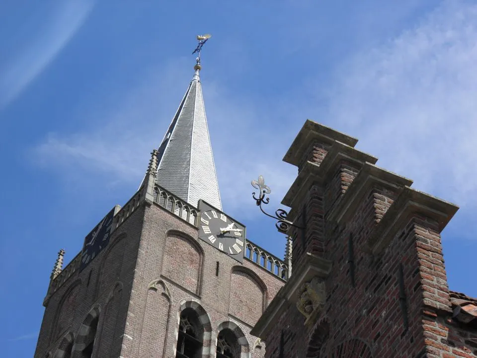 10534257 704941566241695 4752849309237040865 n