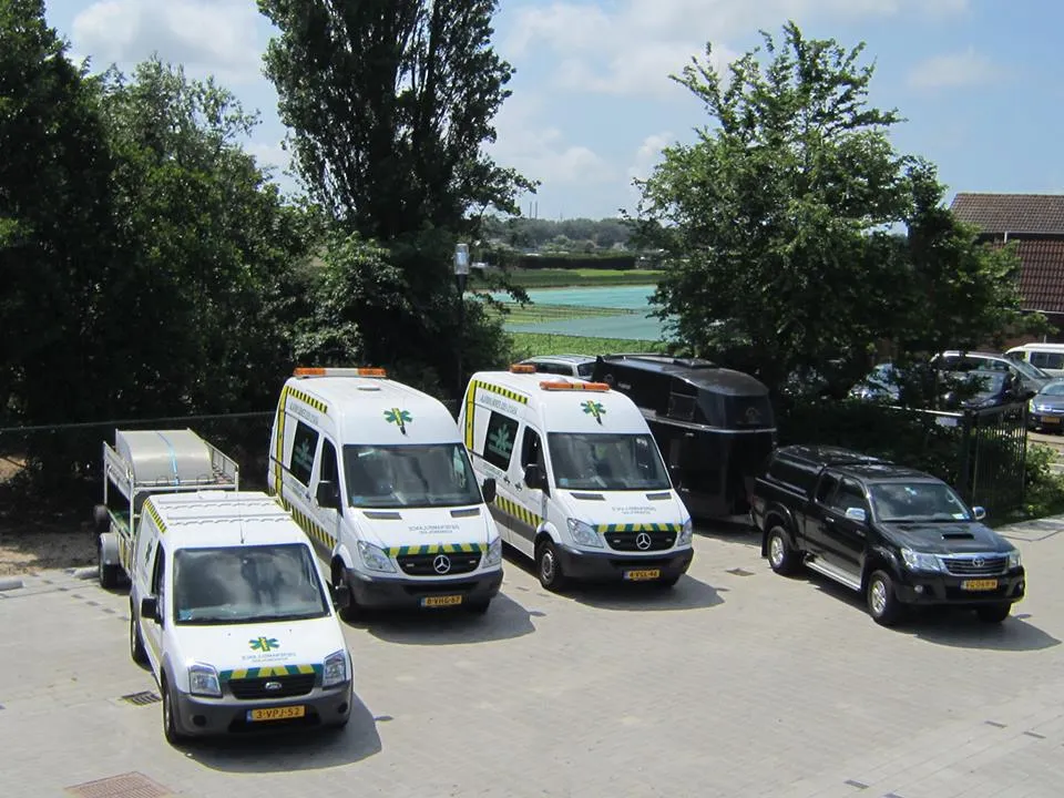 11754124 867851929959917 1159419443300953734 n