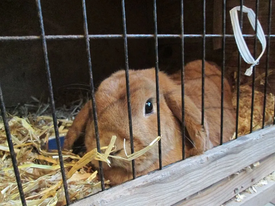 1234489 791203824291395 8791425673892980362 n