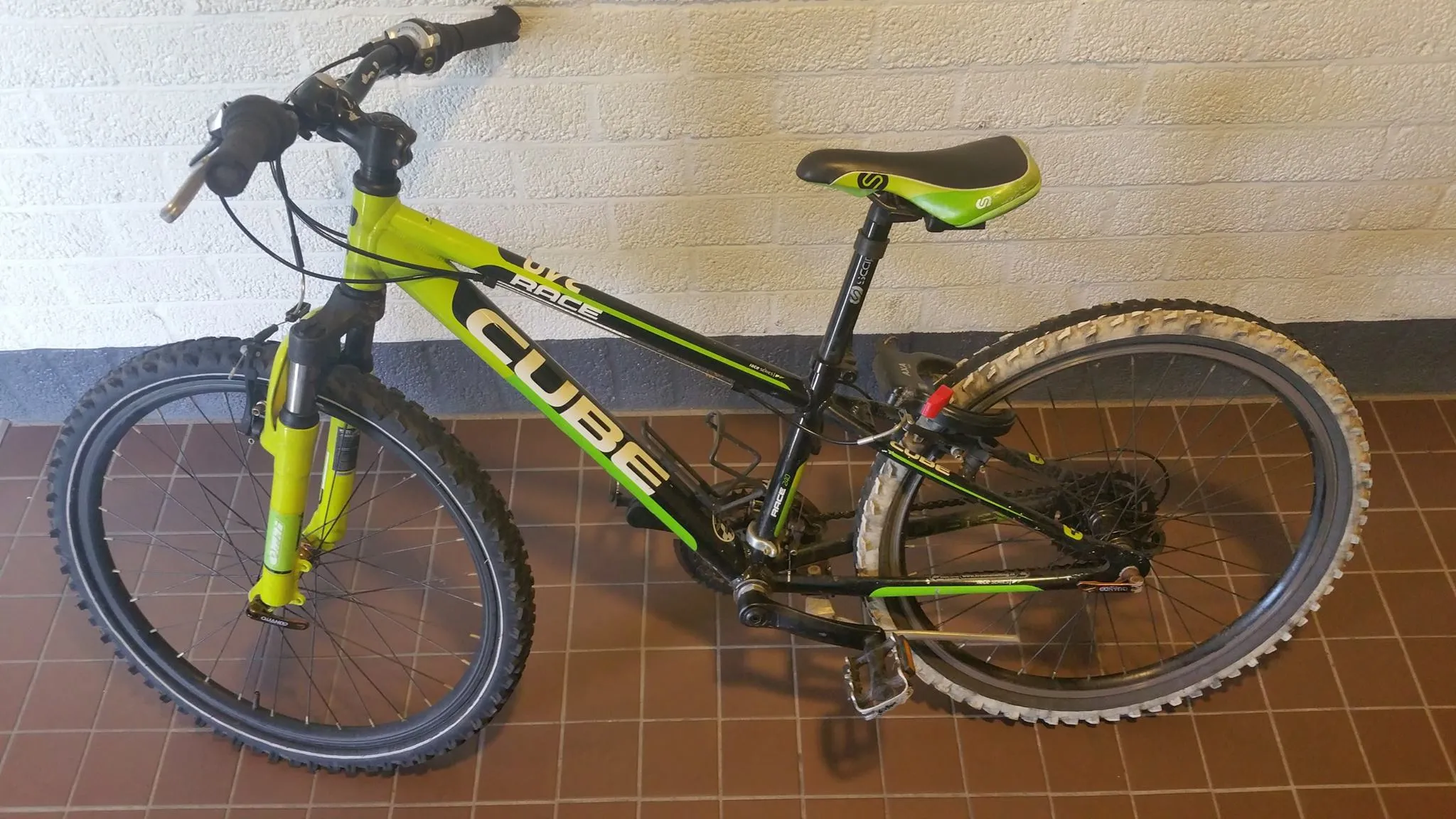 13346201 1044813455606645 4950769574143516133 o