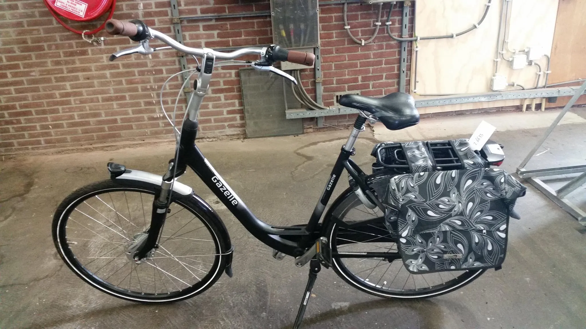 13528163 1052947081459949 6775234736536334634 o