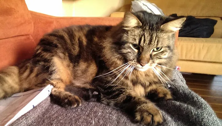 14950 wim banner hoofd