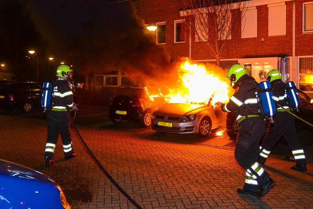 2014125 dewieck 8