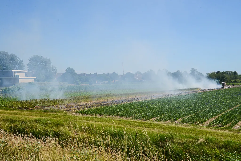 20150706 lunetten 1