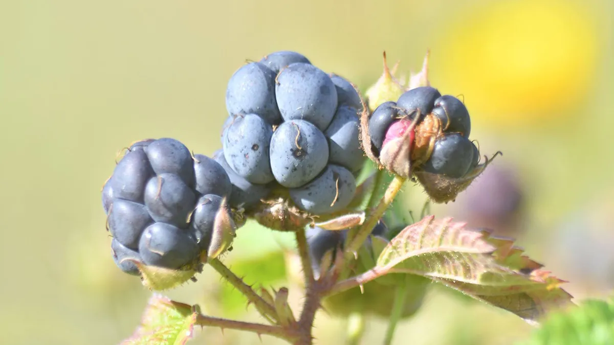 20229541 10214166378340572 598578482358185627 o ejw