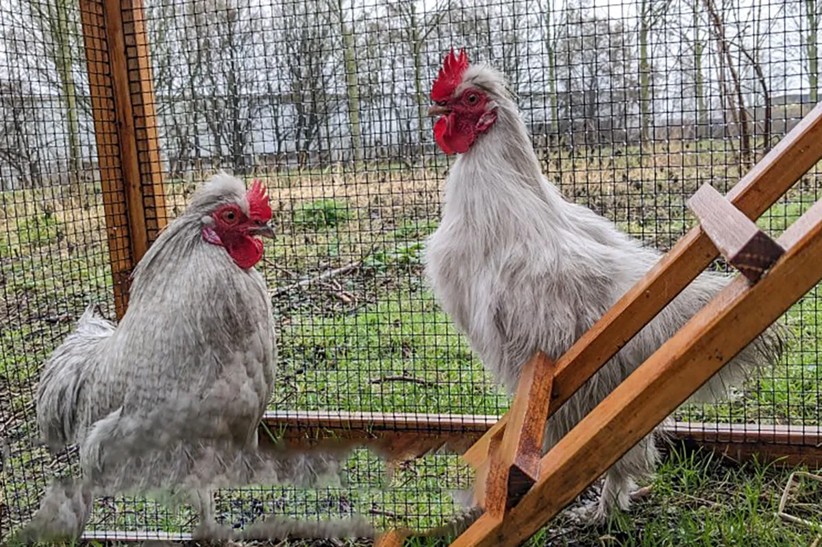 2048910 i4lzes90 xlwm 1 kopie