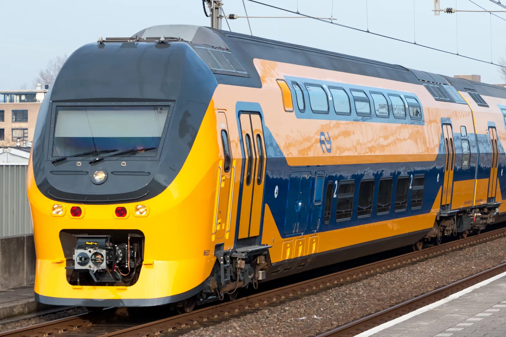 30901637474 1483af8339 o