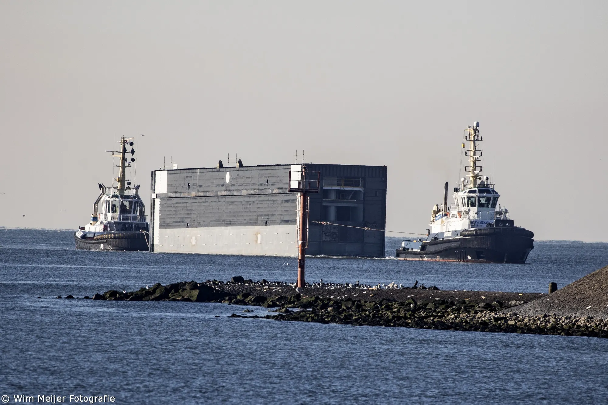 3z1a4869