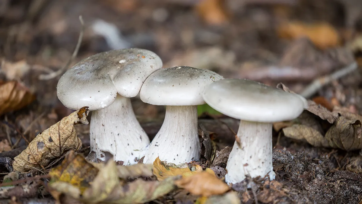 5i5a5614 wim meijer fotografie