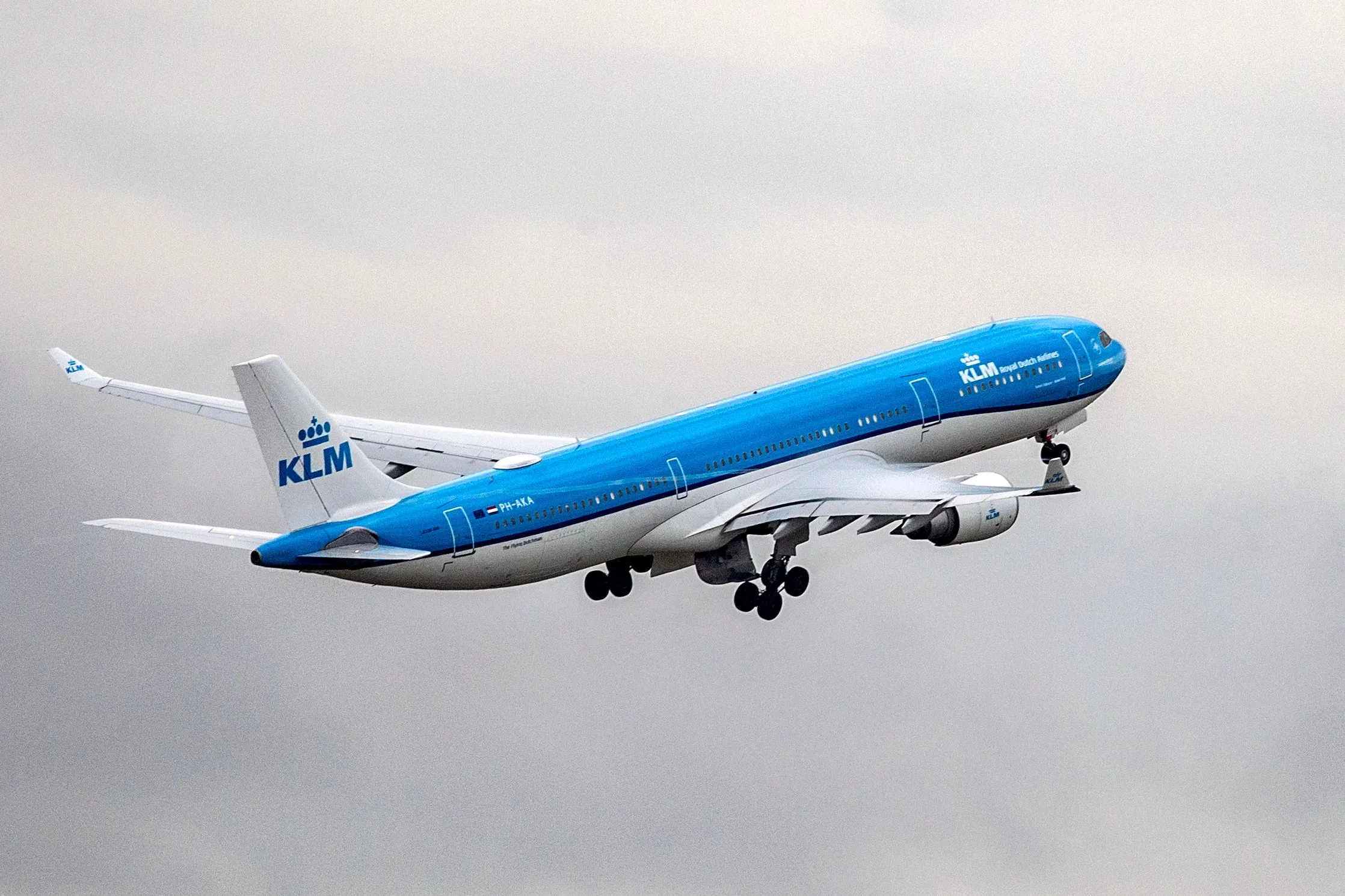 5i5a7696 kopie